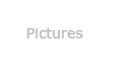 Pictures